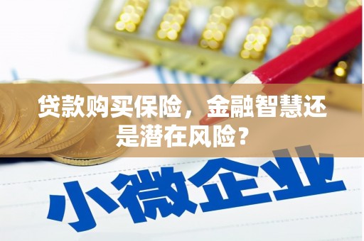 保定贷款购买保险，金融智慧还是潜在风险？