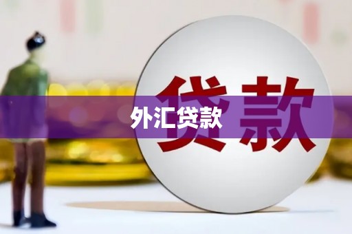 保定外汇贷款