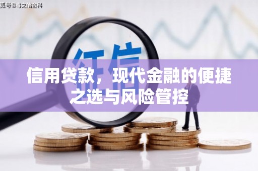 保定信用贷款，现代金融的便捷之选与风险管控