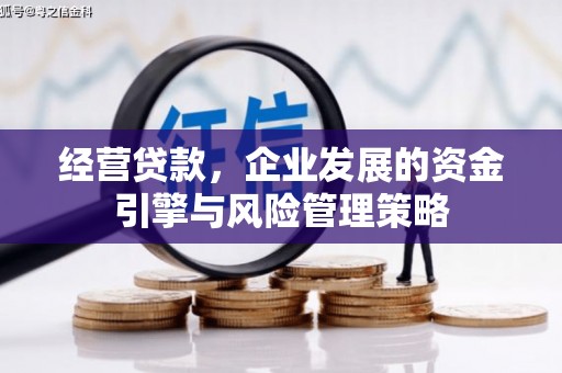 保定经营贷款，企业发展的资金引擎与风险管理策略