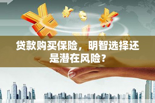 保定贷款购买保险，明智选择还是潜在风险？