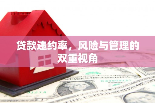 保定贷款违约率，风险与管理的双重视角
