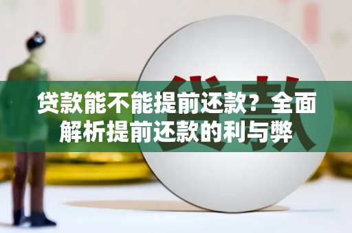 保定贷款能不能提前还款？全面解析提前还款的利与弊