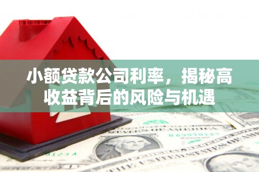 保定小额贷款公司利率，揭秘高收益背后的风险与机遇