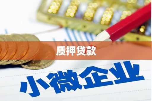 保定质押贷款
