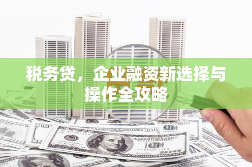 保定税务贷，企业融资新选择与操作全攻略