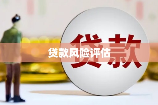 保定贷款风险评估