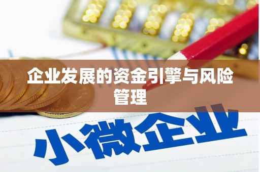 保定企业发展的资金引擎与风险管理