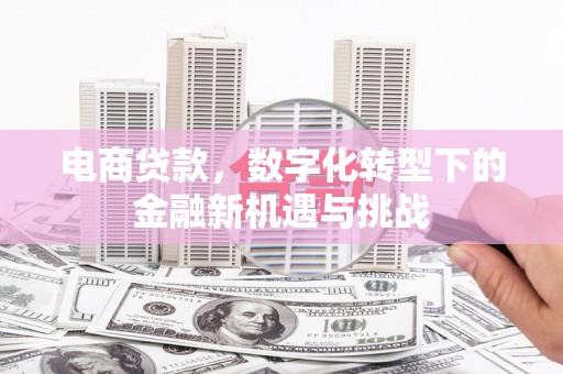 保定电商贷款，数字化转型下的金融新机遇与挑战