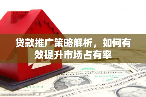 保定贷款推广策略解析，如何有效提升市场占有率