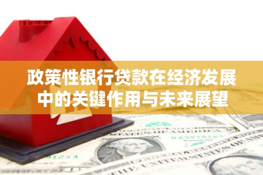 保定政策性银行贷款在经济发展中的关键作用与未来展望