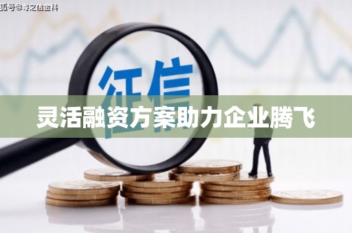 保定灵活融资方案助力企业腾飞