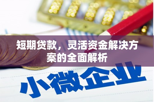 保定短期贷款，灵活资金解决方案的全面解析