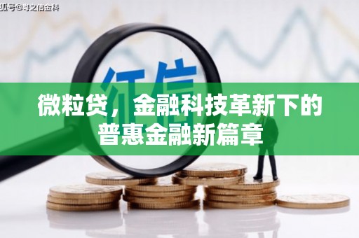 保定微粒贷，金融科技革新下的普惠金融新篇章