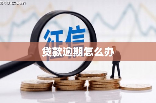 保定贷款逾期怎么办