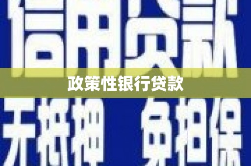 保定政策性银行贷款