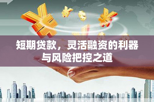 保定短期贷款，灵活融资的利器与风险把控之道