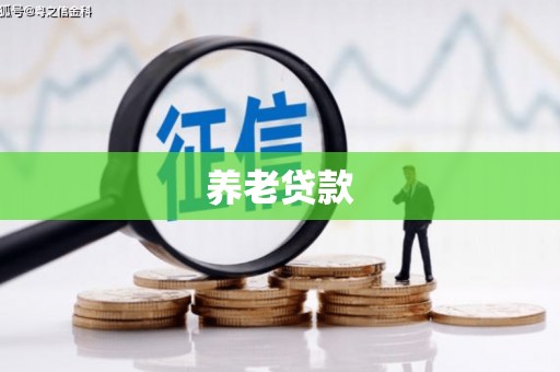保定养老贷款