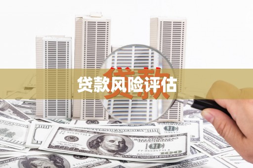 保定贷款风险评估
