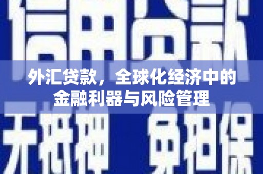 保定外汇贷款，全球化经济中的金融利器与风险管理