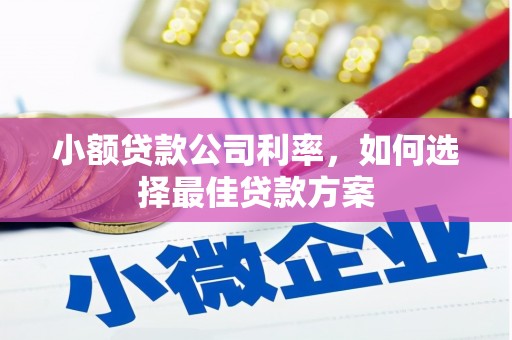 保定小额贷款公司利率，如何选择最佳贷款方案