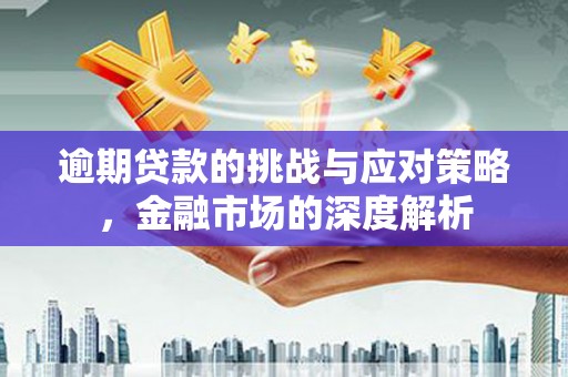 保定逾期贷款的挑战与应对策略，金融市场的深度解析