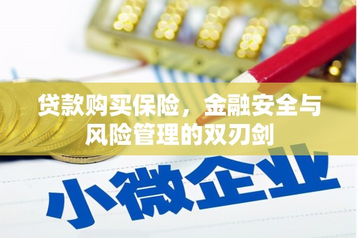 保定贷款购买保险，金融安全与风险管理的双刃剑
