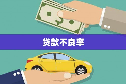 保定贷款不良率