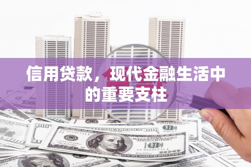 保定信用贷款，现代金融生活中的重要支柱