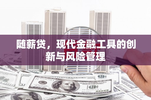 保定随薪贷，现代金融工具的创新与风险管理
