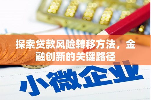 保定探索贷款风险转移方法，金融创新的关键路径