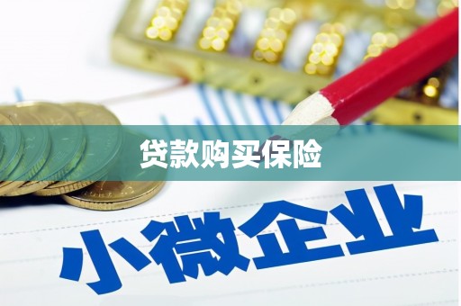 保定贷款购买保险