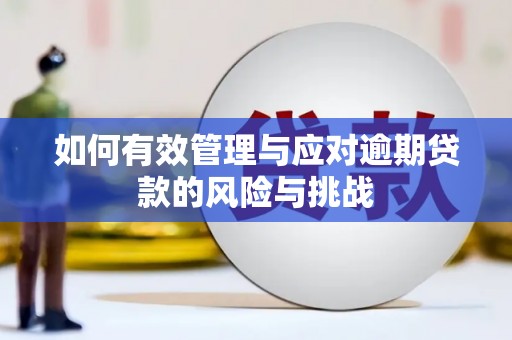 保定如何有效管理与应对逾期贷款的风险与挑战