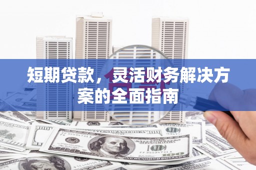 保定短期贷款，灵活财务解决方案的全面指南