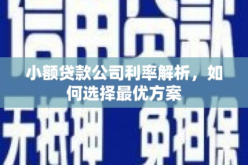 保定小额贷款公司利率解析，如何选择最优方案