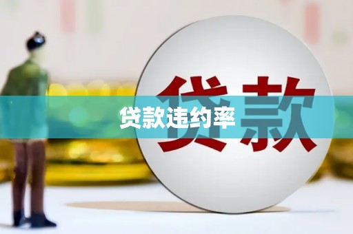 保定贷款违约率