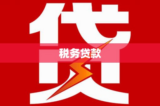 保定税务贷款