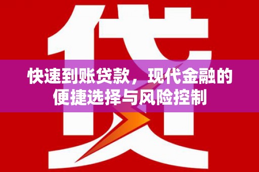 保定快速到账贷款，现代金融的便捷选择与风险控制