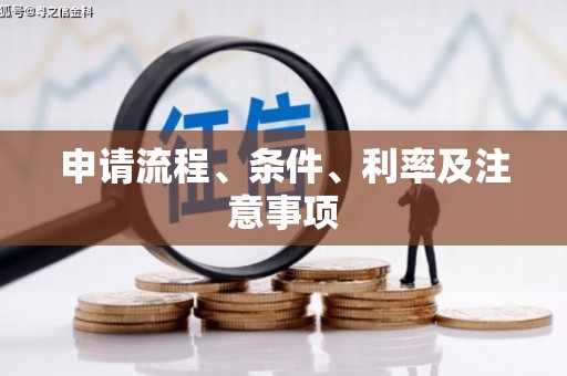 保定申请流程、条件、利率及注意事项