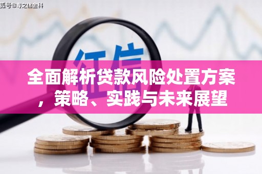 保定全面解析贷款风险处置方案，策略、实践与未来展望