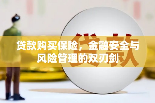 保定贷款购买保险，金融安全与风险管理的双刃剑