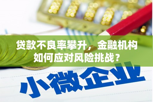保定贷款不良率攀升，金融机构如何应对风险挑战？