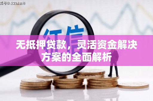 保定无抵押贷款，灵活资金解决方案的全面解析