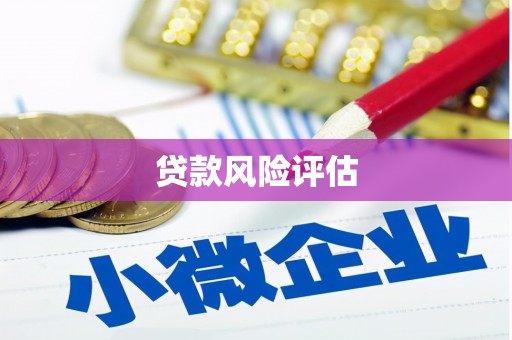 保定贷款风险评估