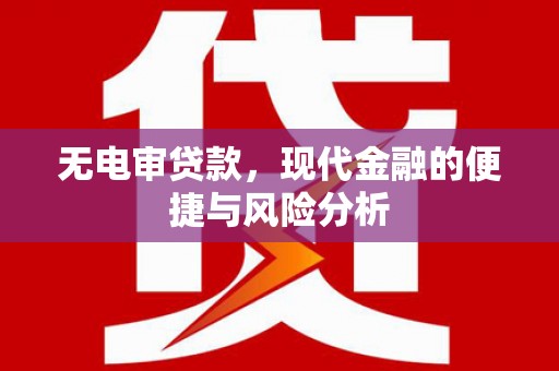 保定无电审贷款，现代金融的便捷与风险分析