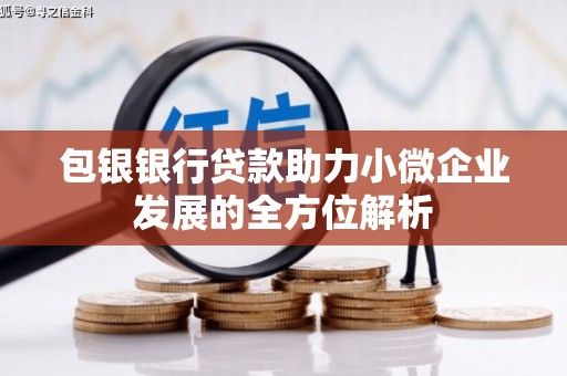 保定包银银行贷款助力小微企业发展的全方位解析 保定包银银行贷款助力小微企业发展的全方位解析