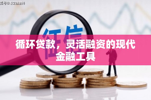 保定循环贷款，灵活融资的现代金融工具