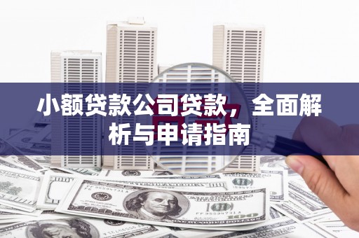 保定小额贷款公司贷款，全面解析与申请指南