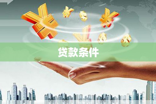 保定贷款条件