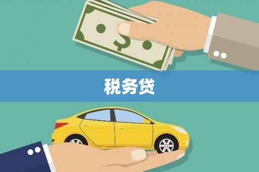 保定税务贷